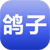 鴿子養(yǎng)殖